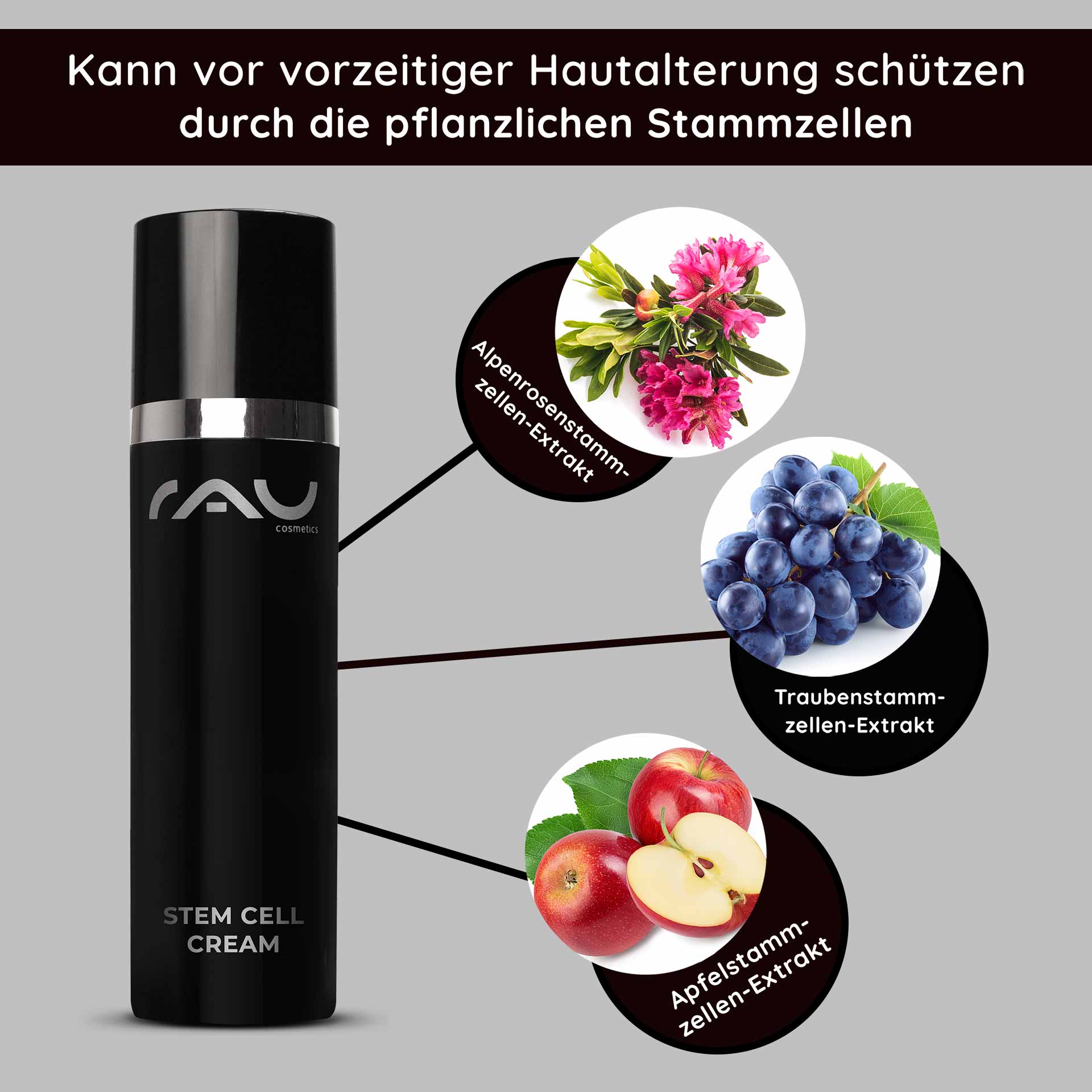 Crema alle cellule staminali 50 ml Crema anti-invecchiamento alle cellule staminali per pelli secche e mature Flasche der RAU Cosmetics Stem Cell Cream mit Text, der die Vorteile von Pflanzenstammzellenextrakten, einschließlich Apfel-, Trauben- und Alpenrosenstammzellen, für die Anti-Aging-Hautpflege hervorhebt.