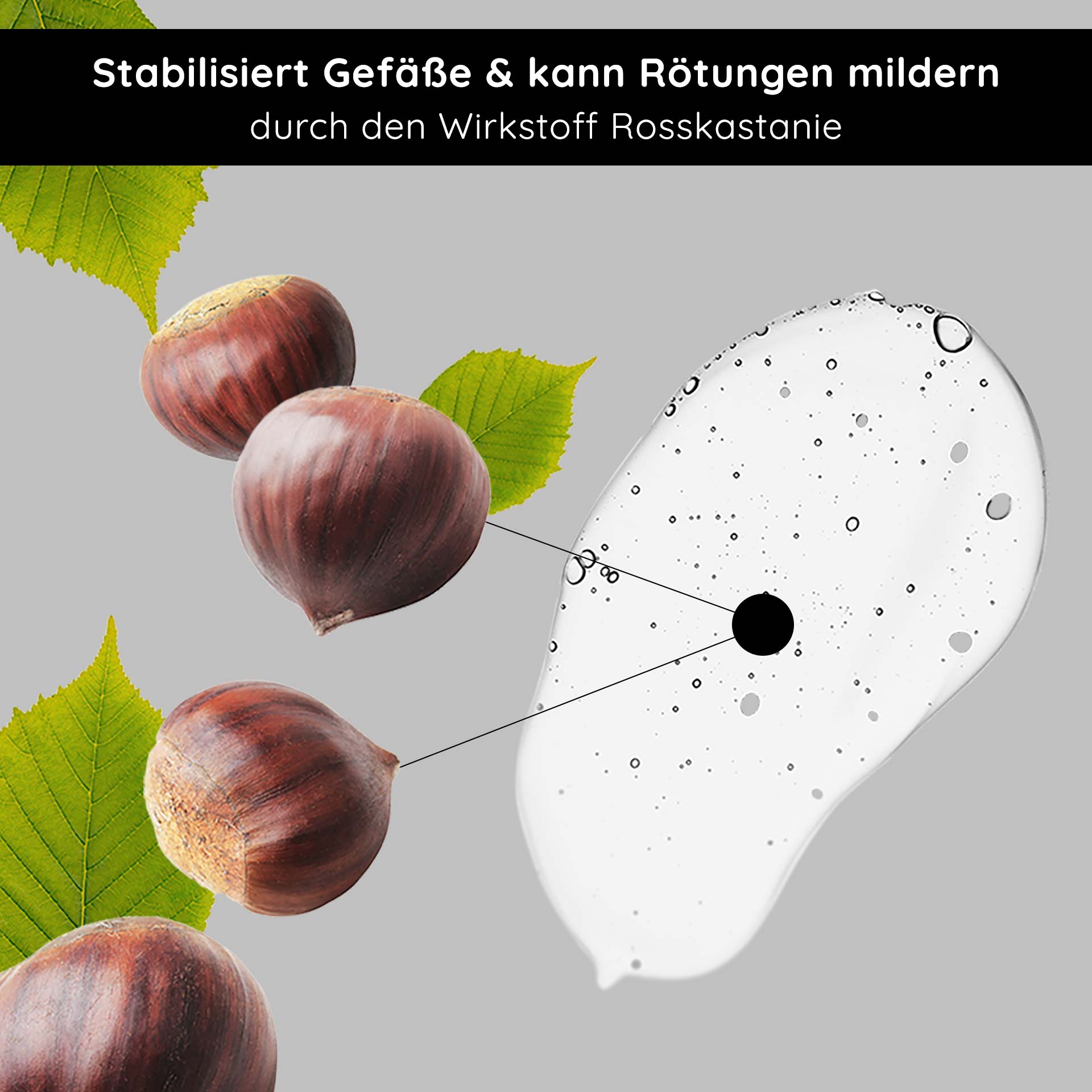 Siero antiarrossamento Couperose 50 ml per la rosacea Anti-Redness Couperose Serum mit Rosskastanienextrakt, stabilisiert die Gefäße und reduziert Rötungen, mit sichtbaren Kastanien und grünen Blättern vor neutralem Hintergrund.