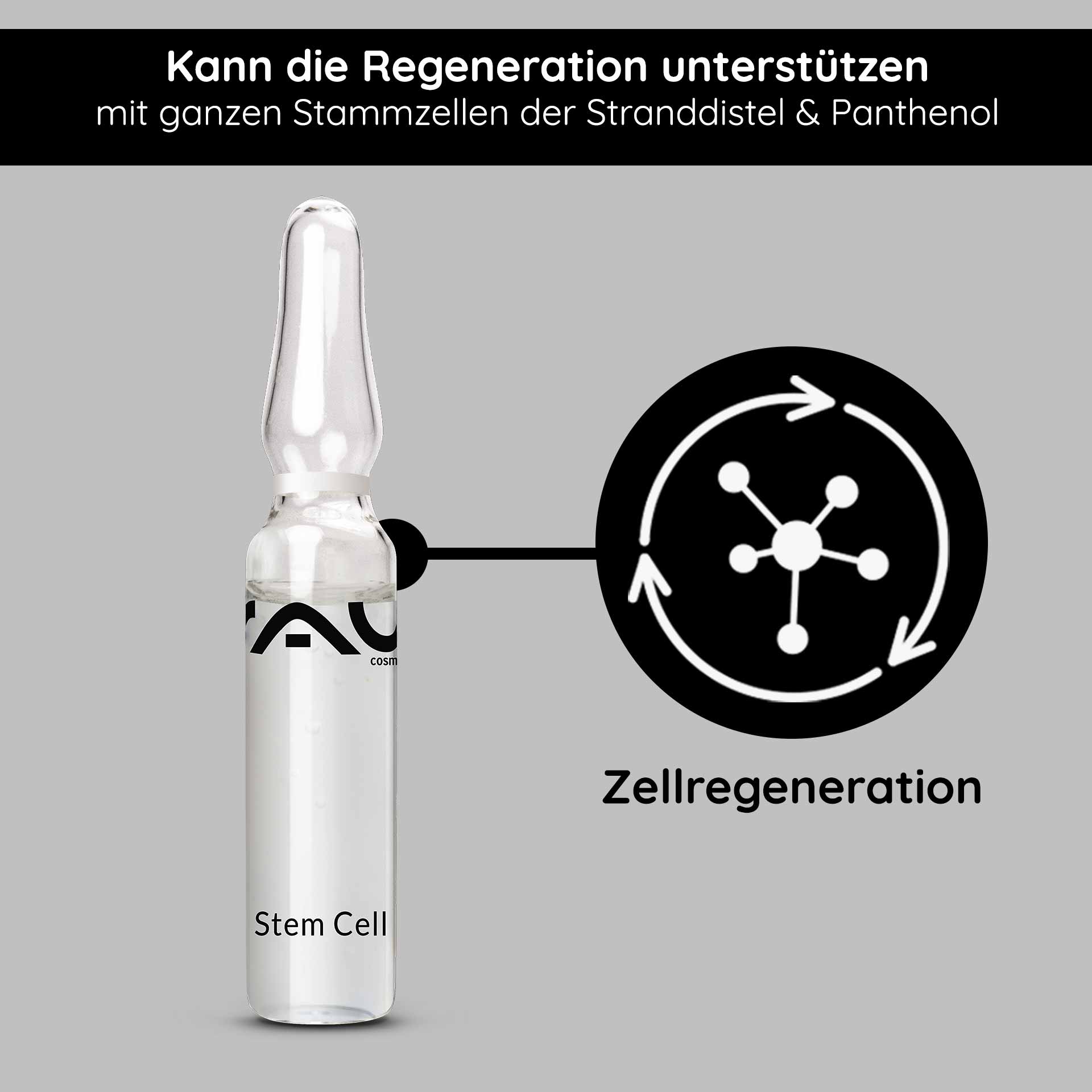 Fiale di cellule staminali 10x2 ml Anti-invecchiamento per la pelle matura Ampulle mit RAU Stem Cell Serum, transparent, beschriftet mit "Stem Cell", unterstützt Zellregeneration, enthält ganze Stammzellen der Stranddistel und Panthenol, auf grauem Hintergrund.