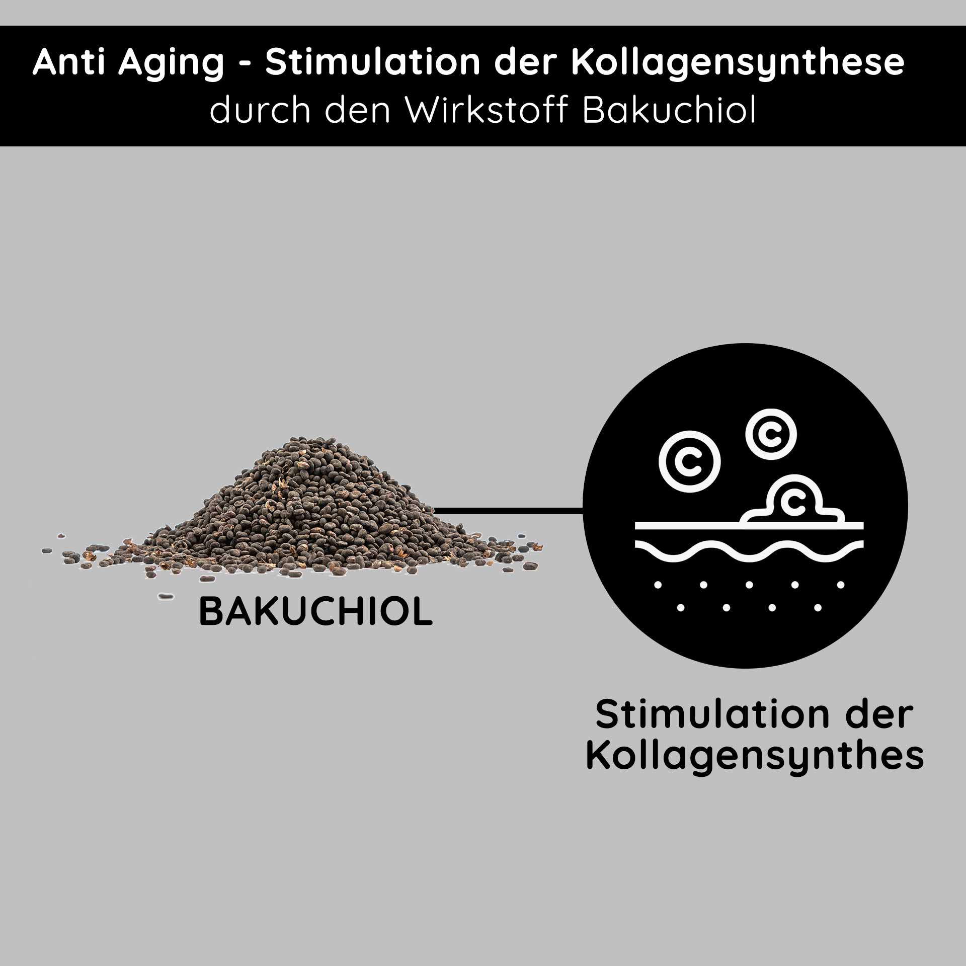 Resistete all'invecchiamento! Crema ricca con Bakuchiol 50 ml Crema notte Bakuchiol-Pulver für Anti-Aging, stimuliert die Kollagensynthese, mit Text „Anti Aging – Stimulation der Kollagensynthese durch den Wirkstoff Bakuchiol.“