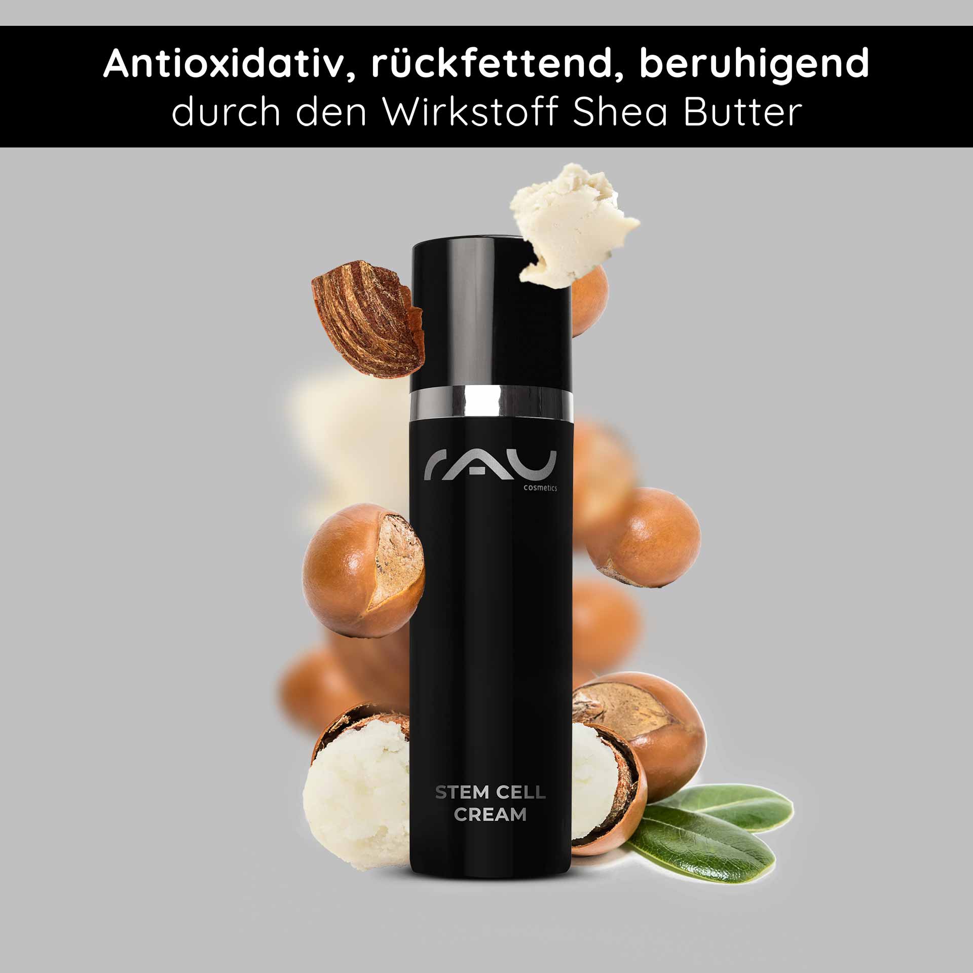 Crema alle cellule staminali 50 ml Crema anti-invecchiamento alle cellule staminali per pelli secche e mature Flasche der Stammzellencreme von RAU Cosmetics mit Sheabutter-Inhaltsstoffen, die antioxidative und feuchtigkeitsspendende Eigenschaften für die Anti-Aging-Hautpflege hervorhebt.