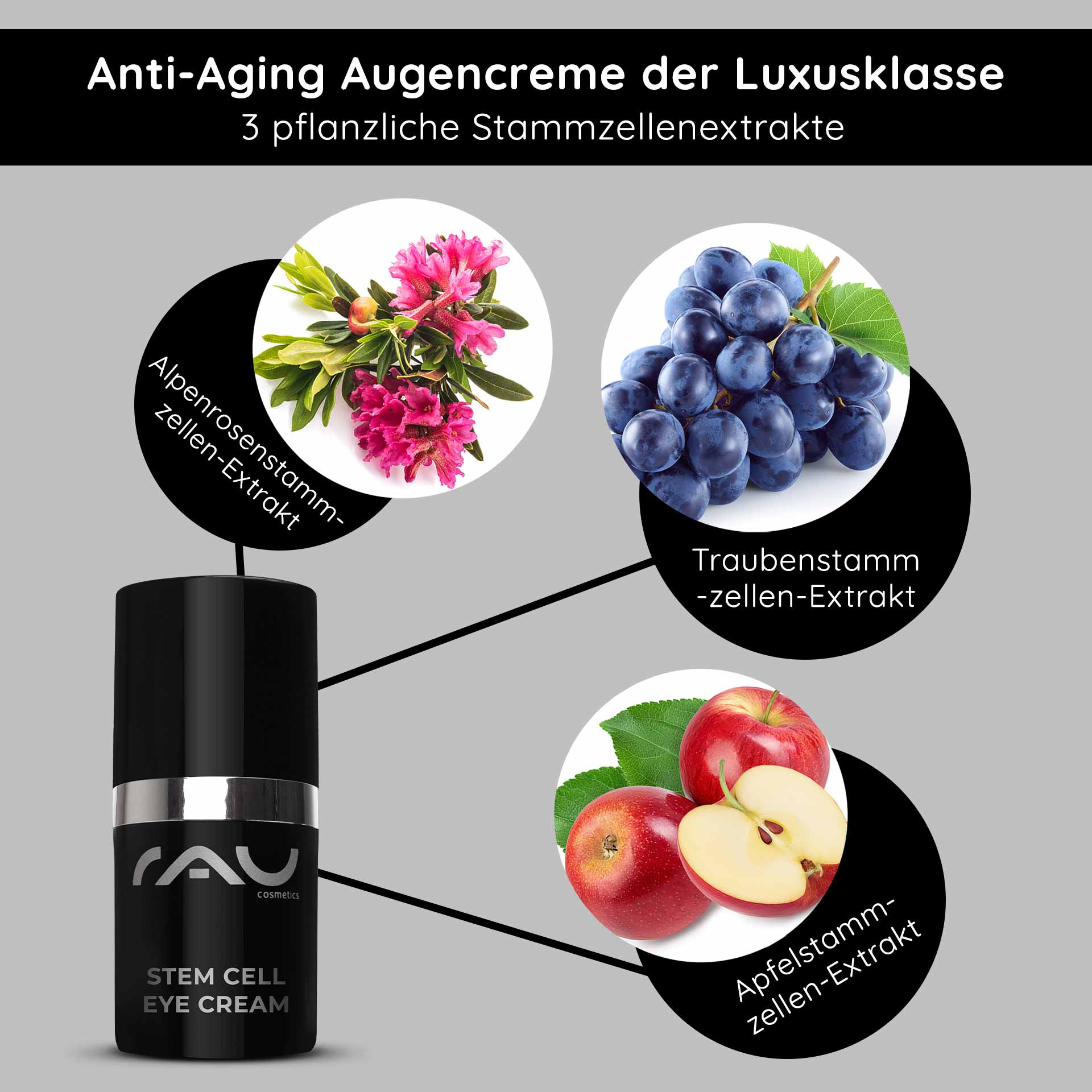 Crema occhi alle cellule staminali 15 ml Crema occhi anti-invecchiamento Anti-Aging Augencreme von RAU Cosmetics mit pflanzlichen Stammzellenextrakten aus Alpenrose, Traube und Apfel, präsentiert in eleganter Verpackung.