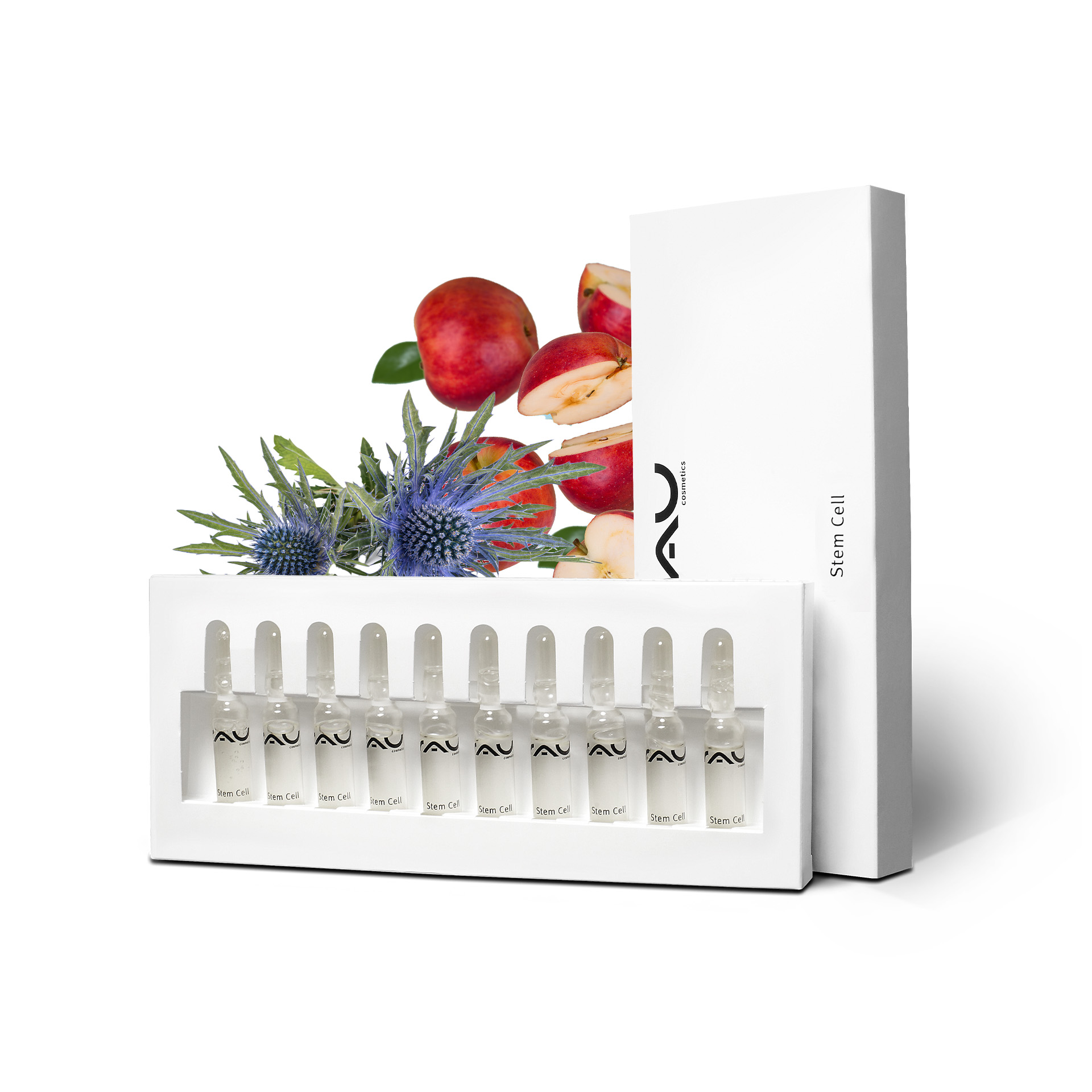Fiale di cellule staminali 10x2 ml Anti-invecchiamento per la pelle matura Besteck